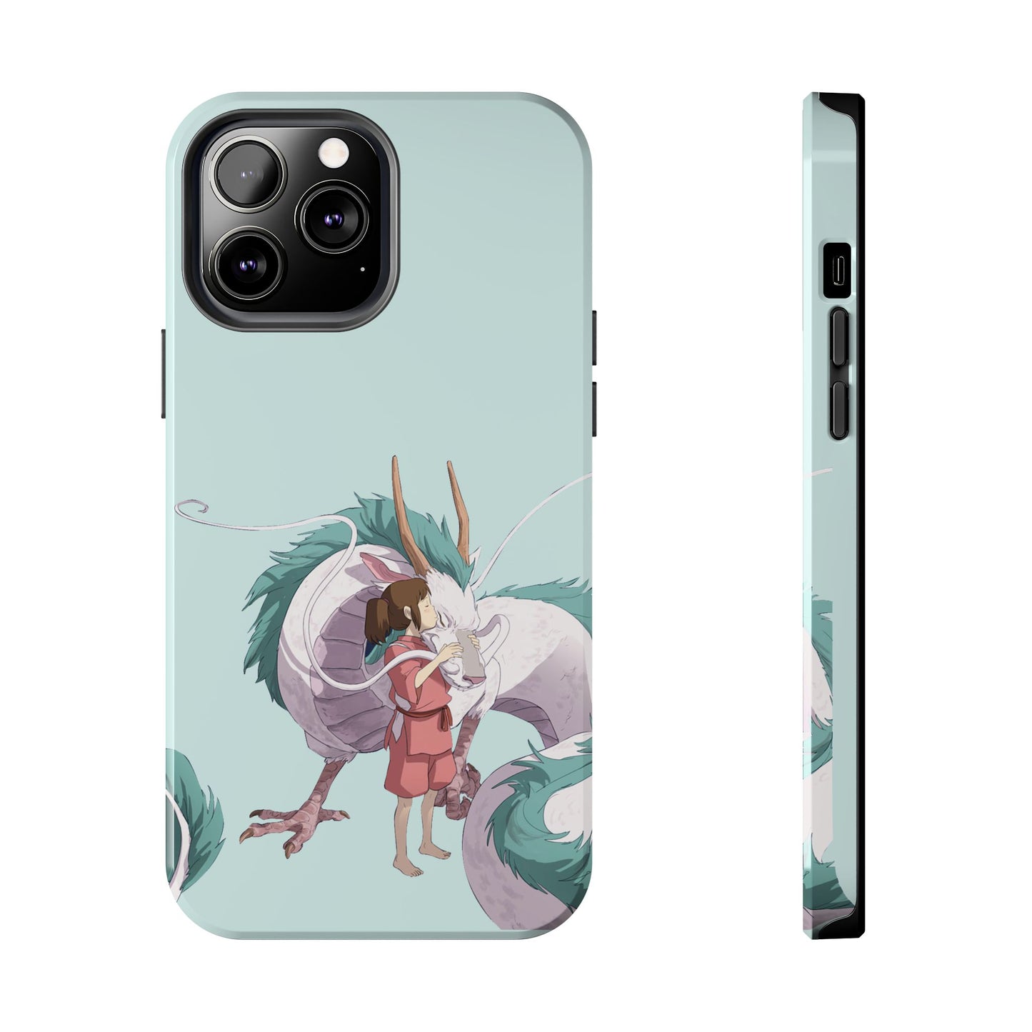 Spirited Away - Fumi Case