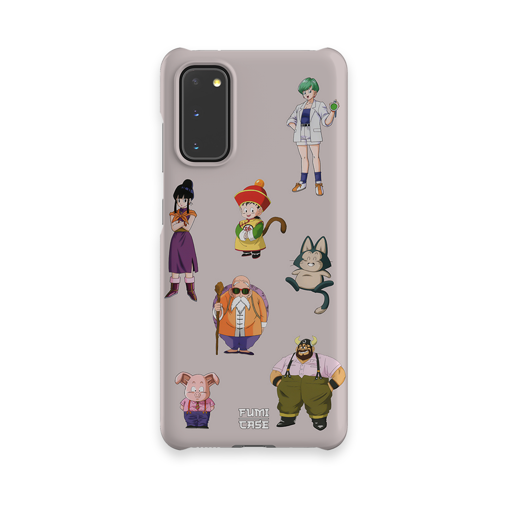DBZ FAM-Slim