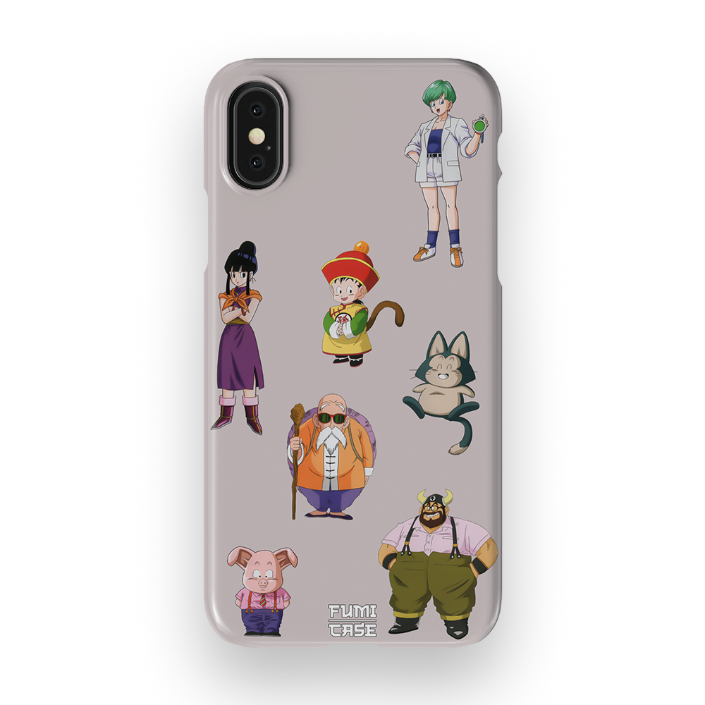 DBZ FAM-Slim