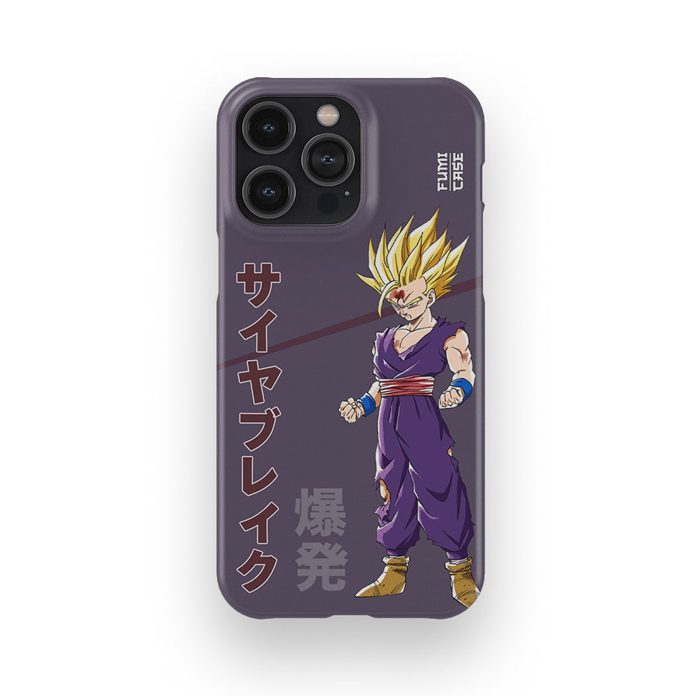 Gohan's Anger-Slim