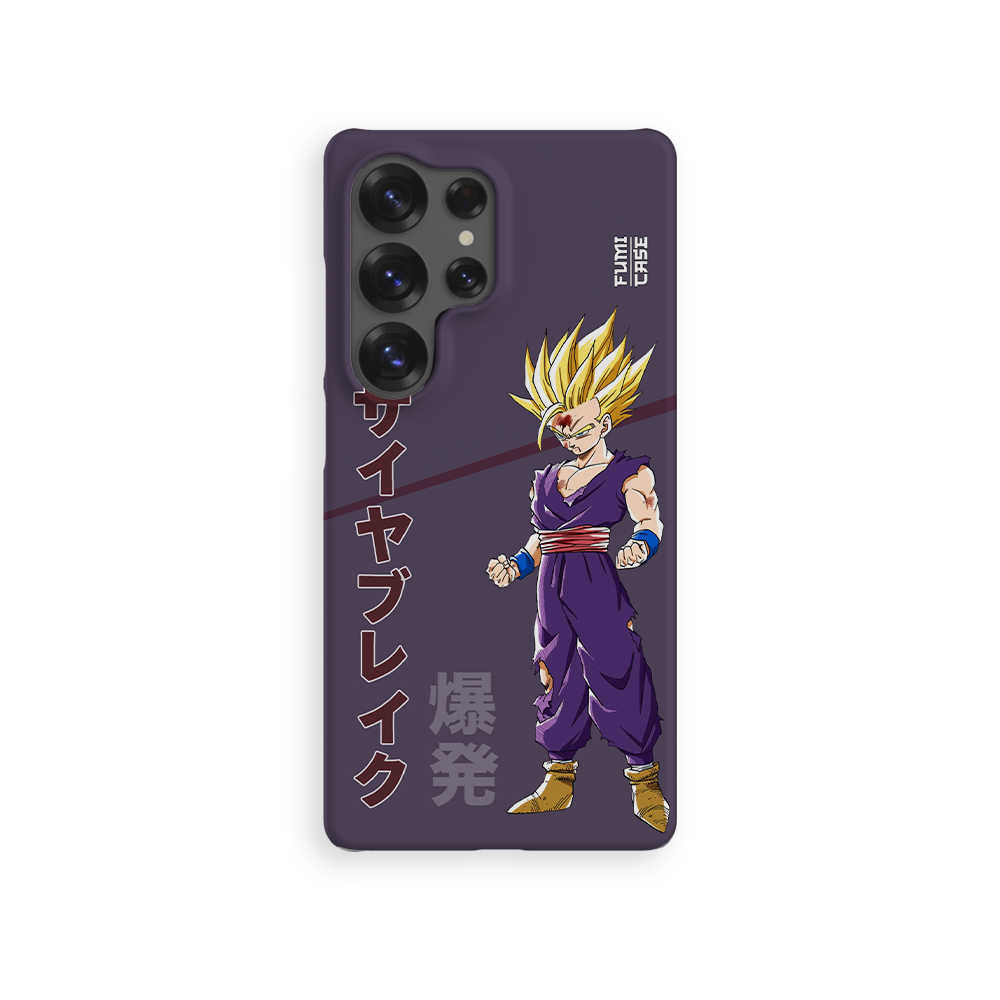 Gohan's Anger-Slim