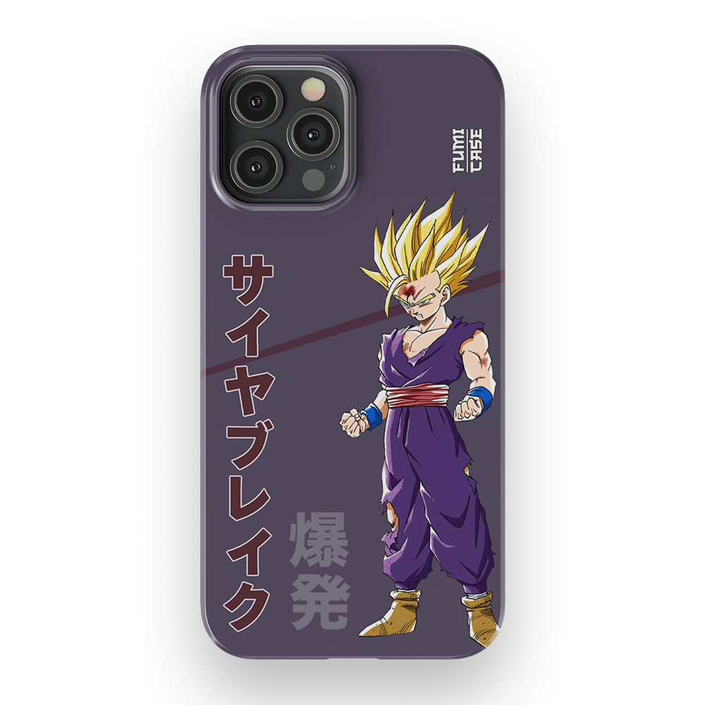 Gohan's Anger-Slim