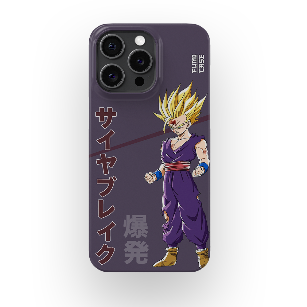 Gohan's Anger-Slim