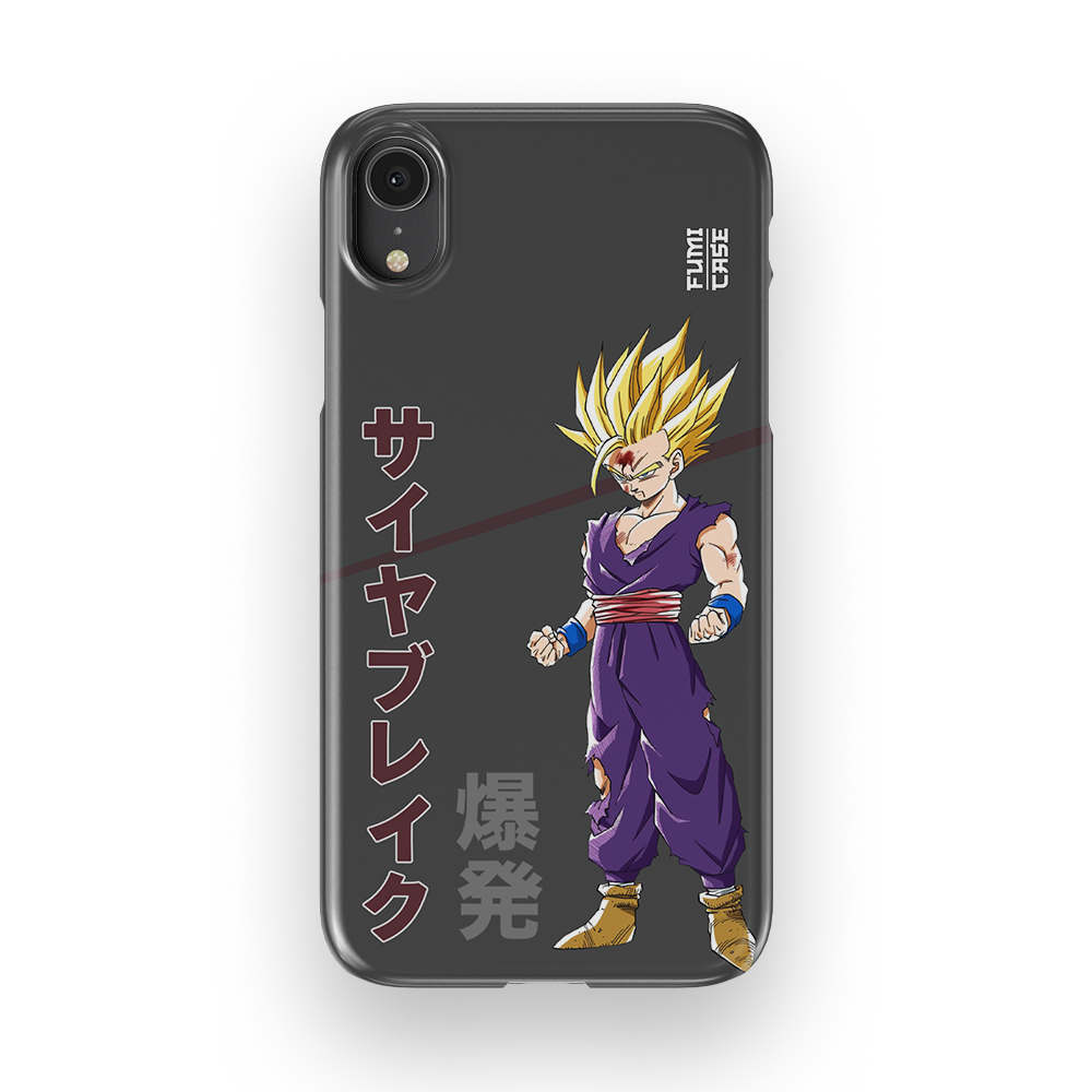Gohan's Anger-Slim