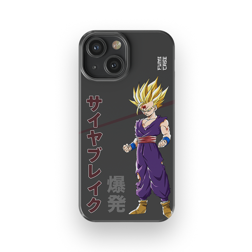 Gohan's Anger-Slim