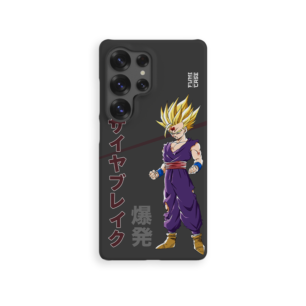 Gohan's Anger-Slim