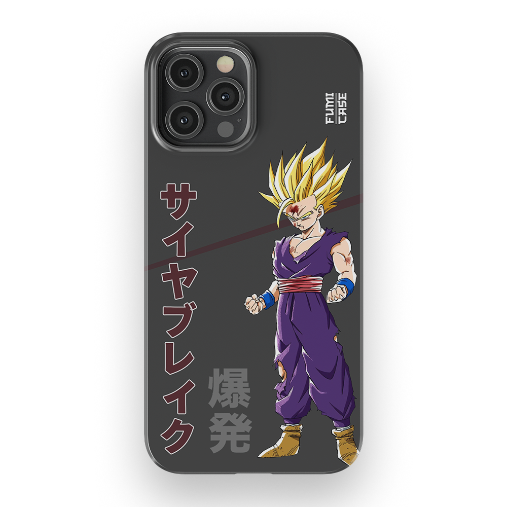Gohan's Anger-Slim