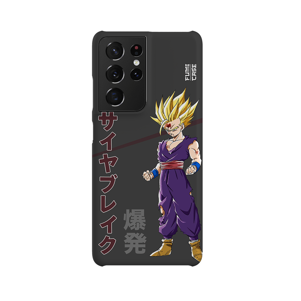 Gohan's Anger-Slim