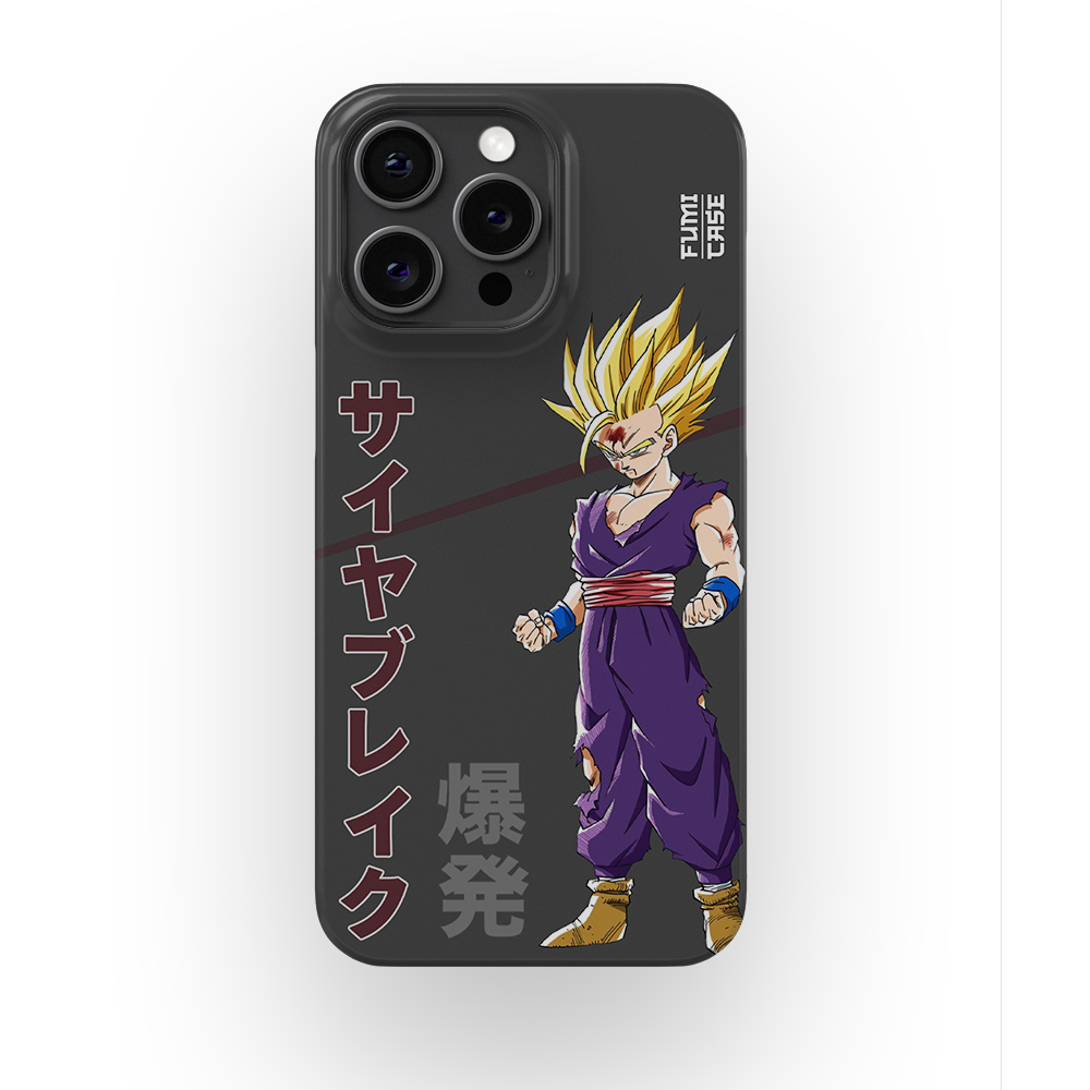 Gohan's Anger-Slim