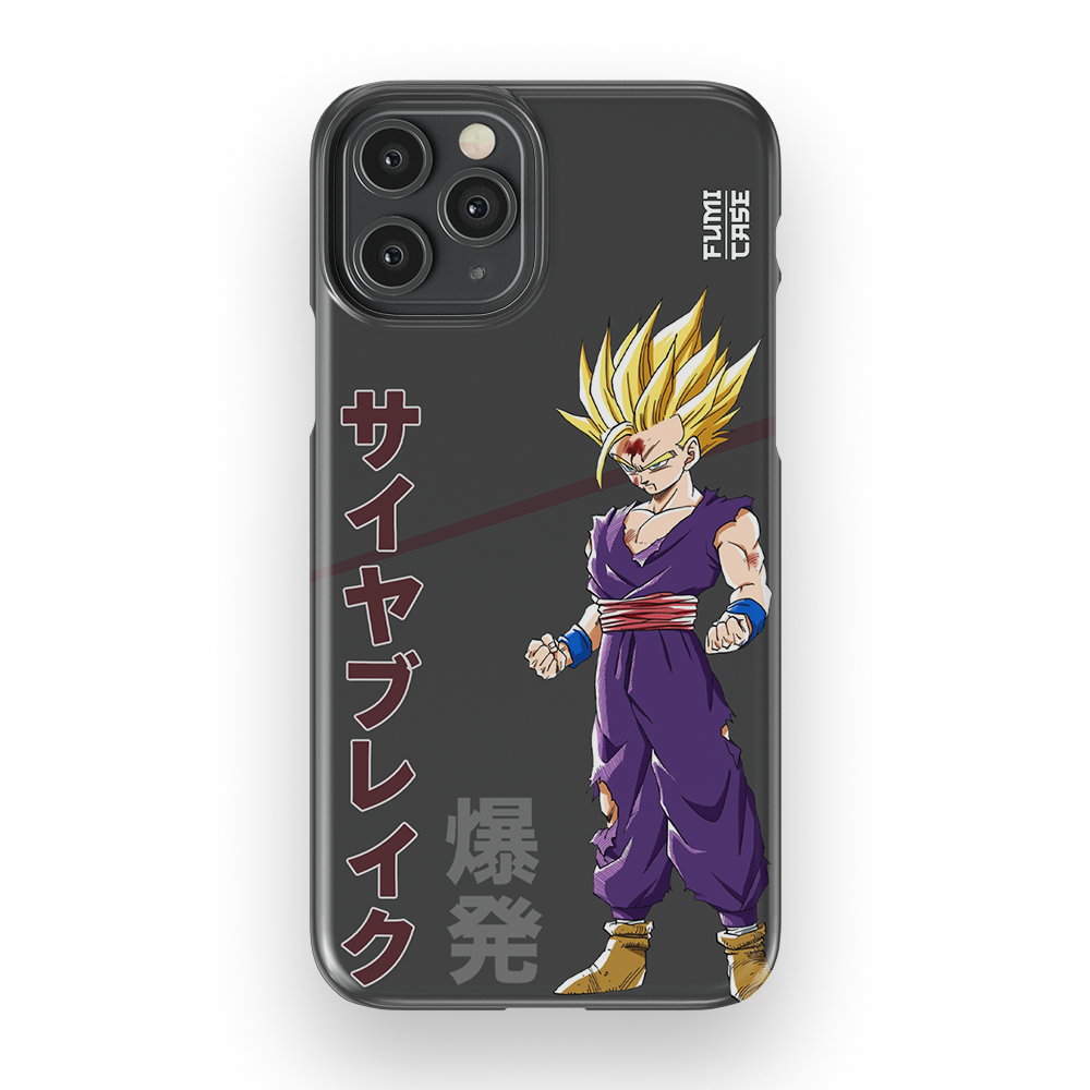 Gohan's Anger-Slim