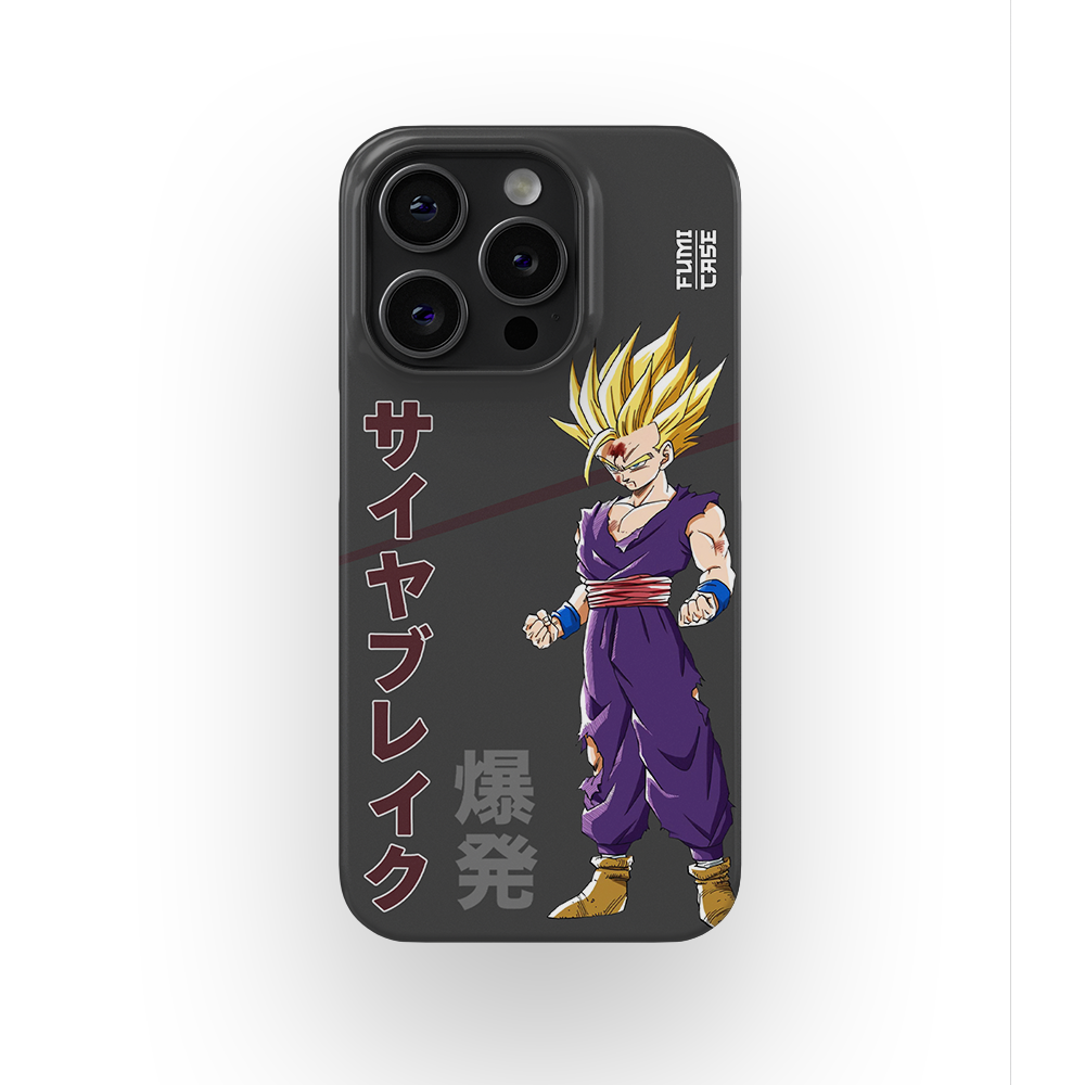 Gohan's Anger-Slim