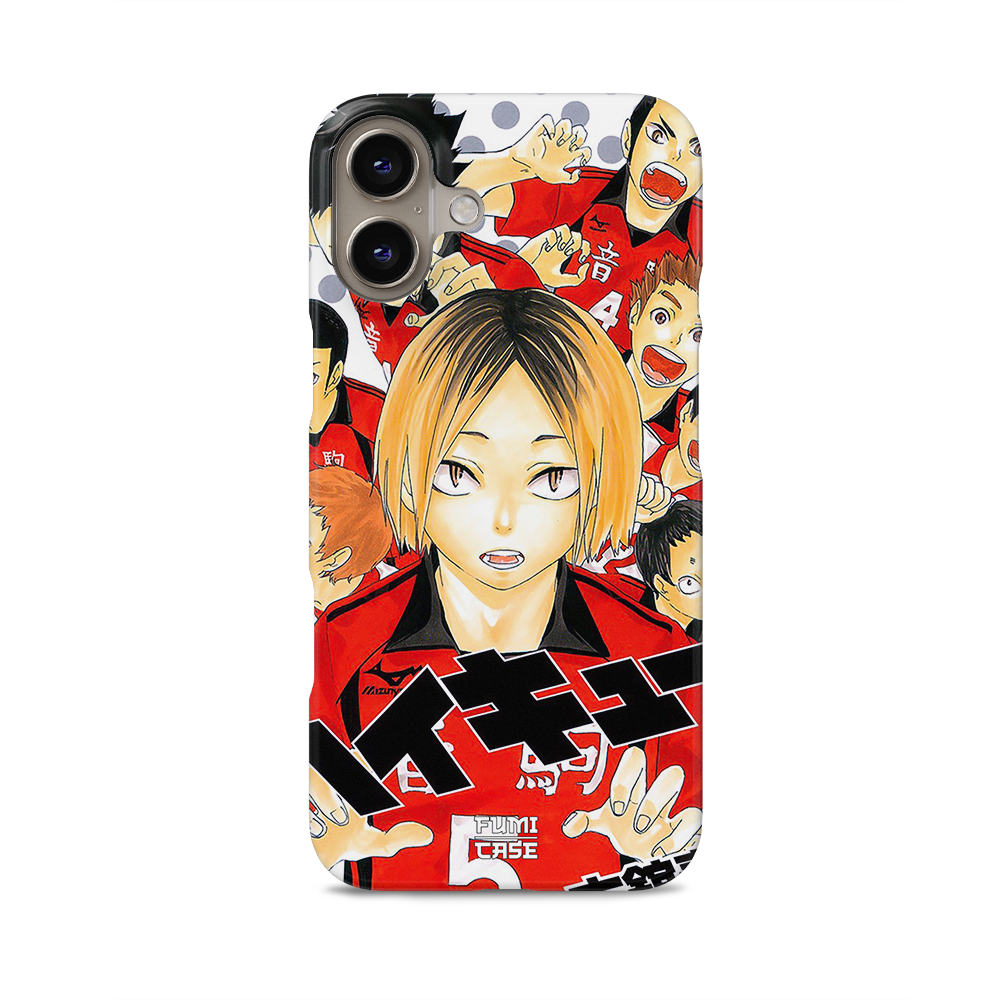 iPhone 16 Plus