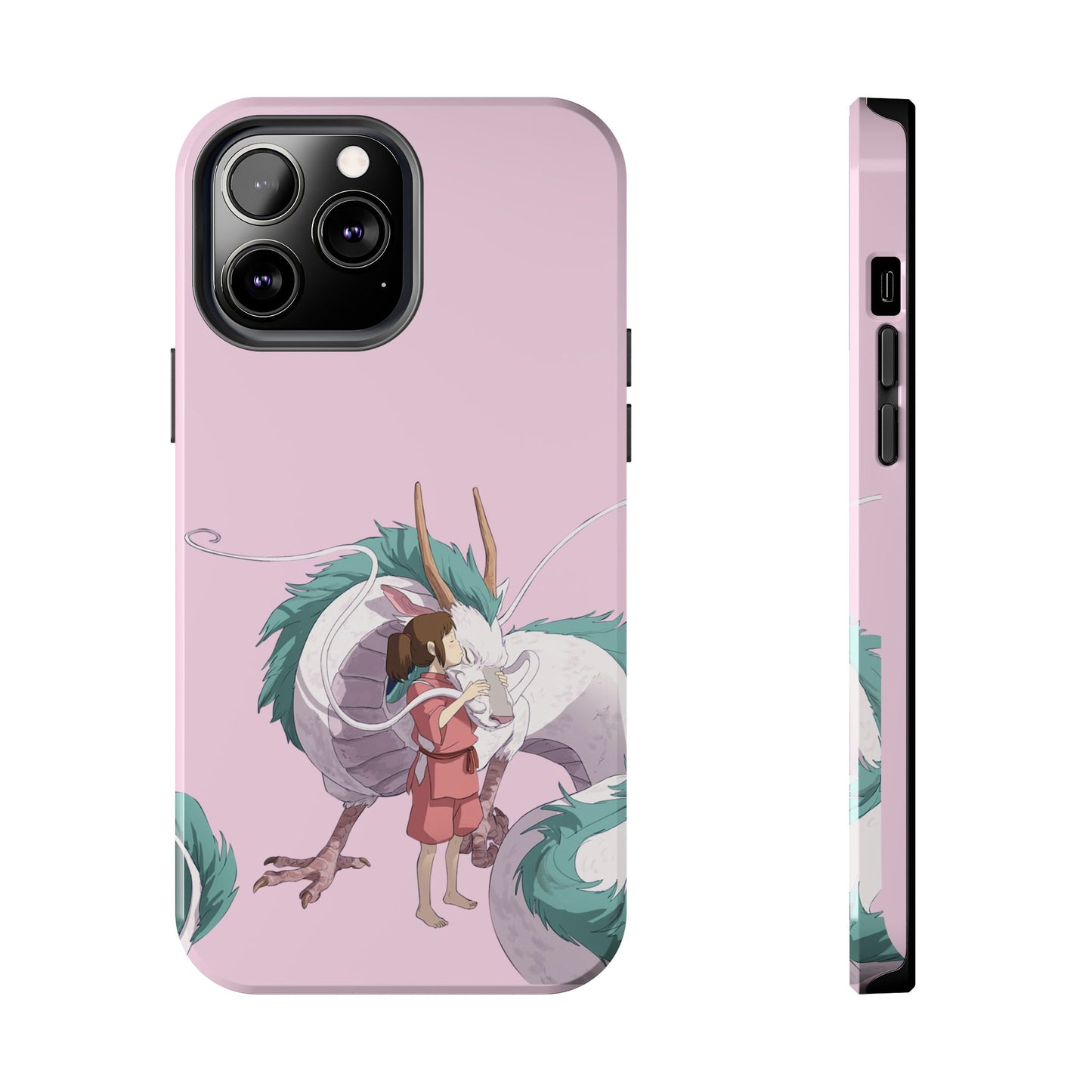 Spirited Away - Fumi Case