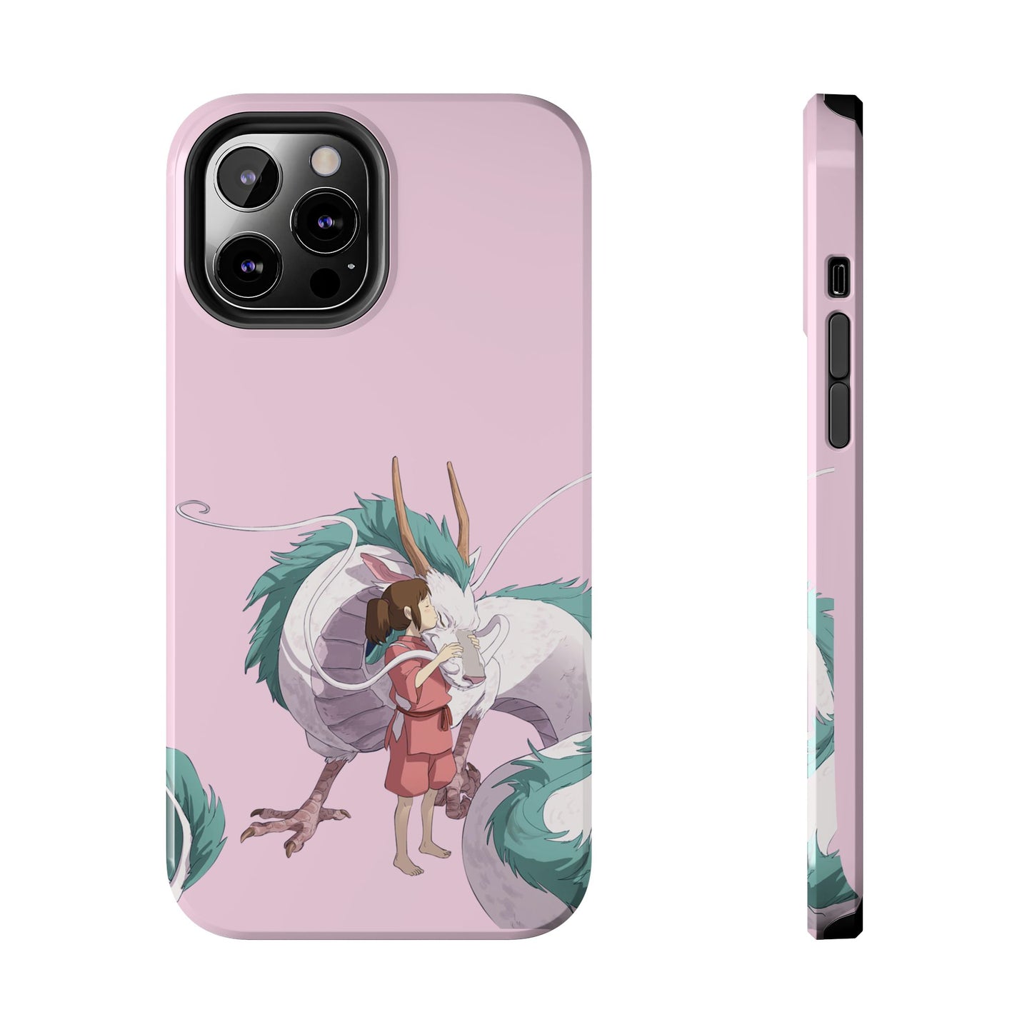 Spirited Away - Fumi Case