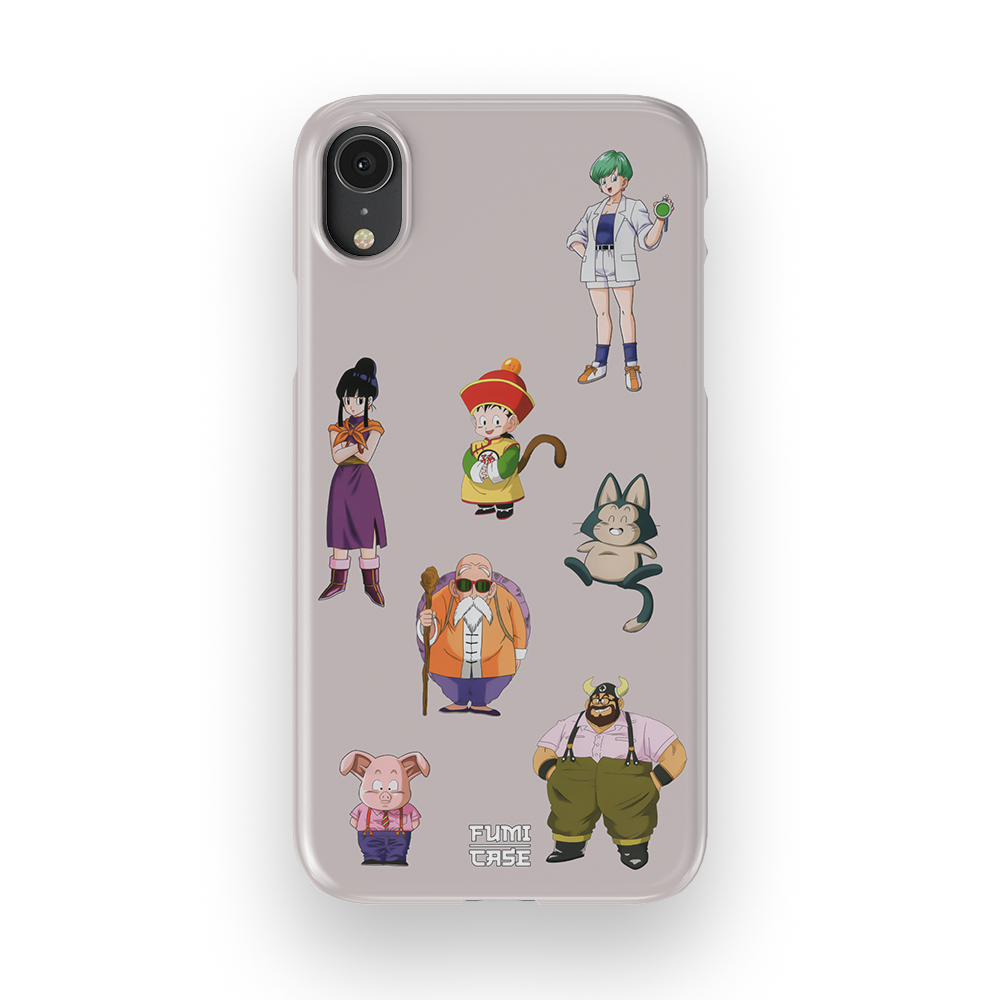 DBZ FAM-Slim