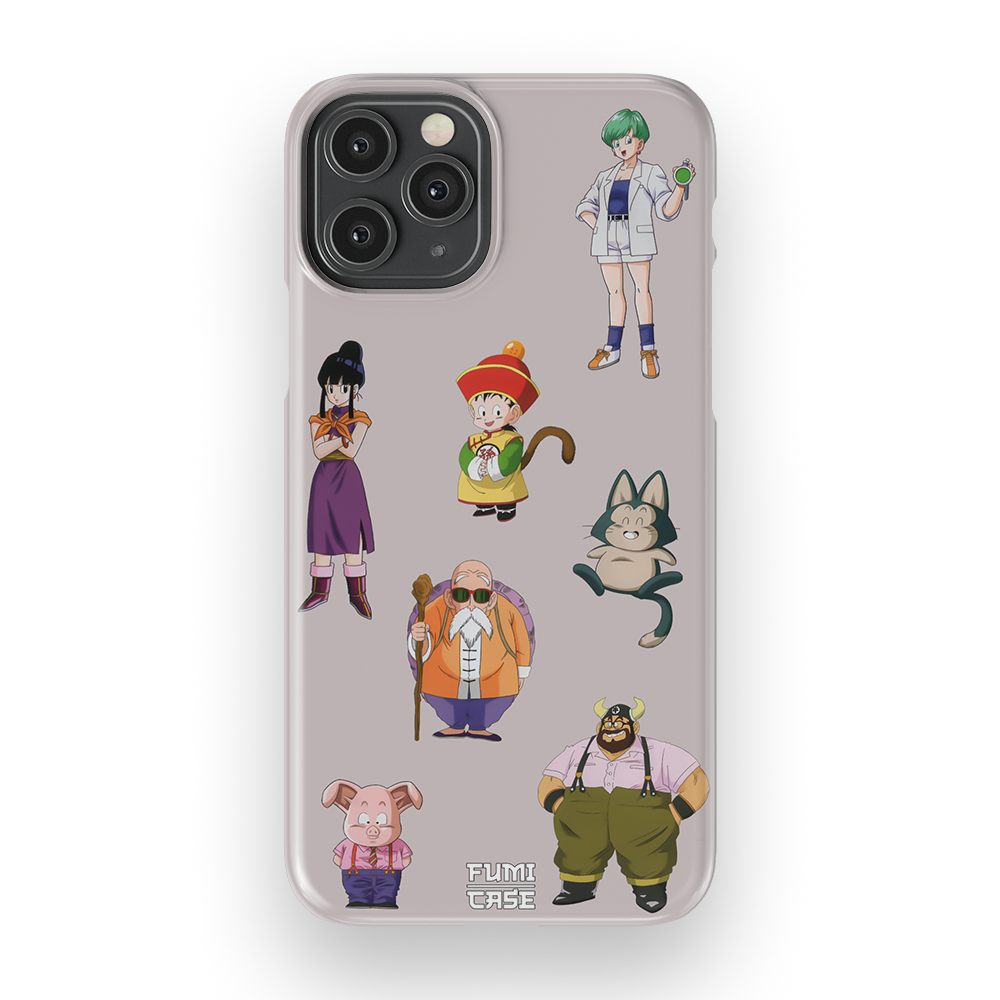 DBZ FAM-Slim