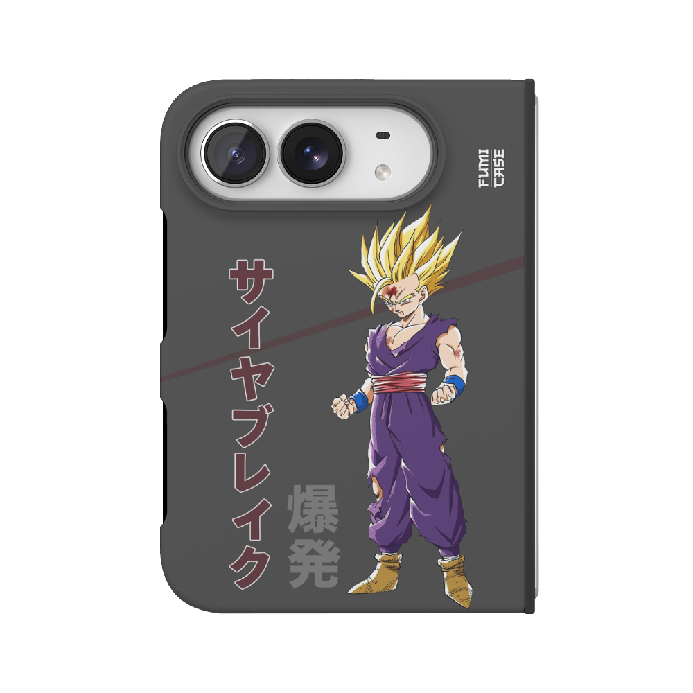 Gohan's Anger