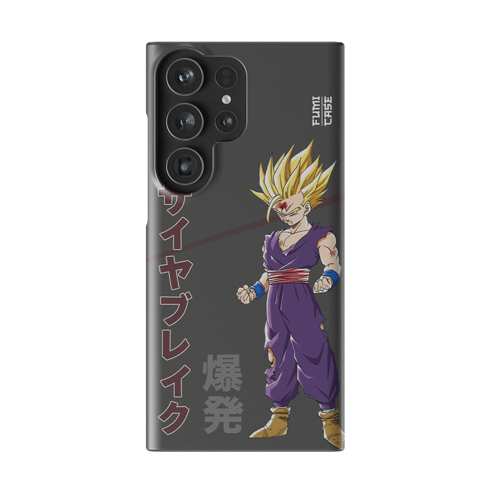 Gohan's Anger-Slim