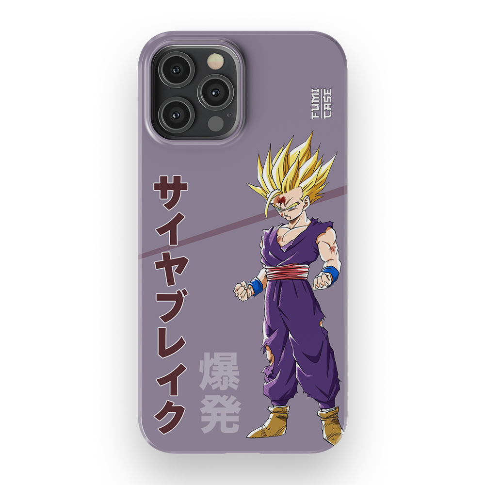 Gohan's Anger-Slim