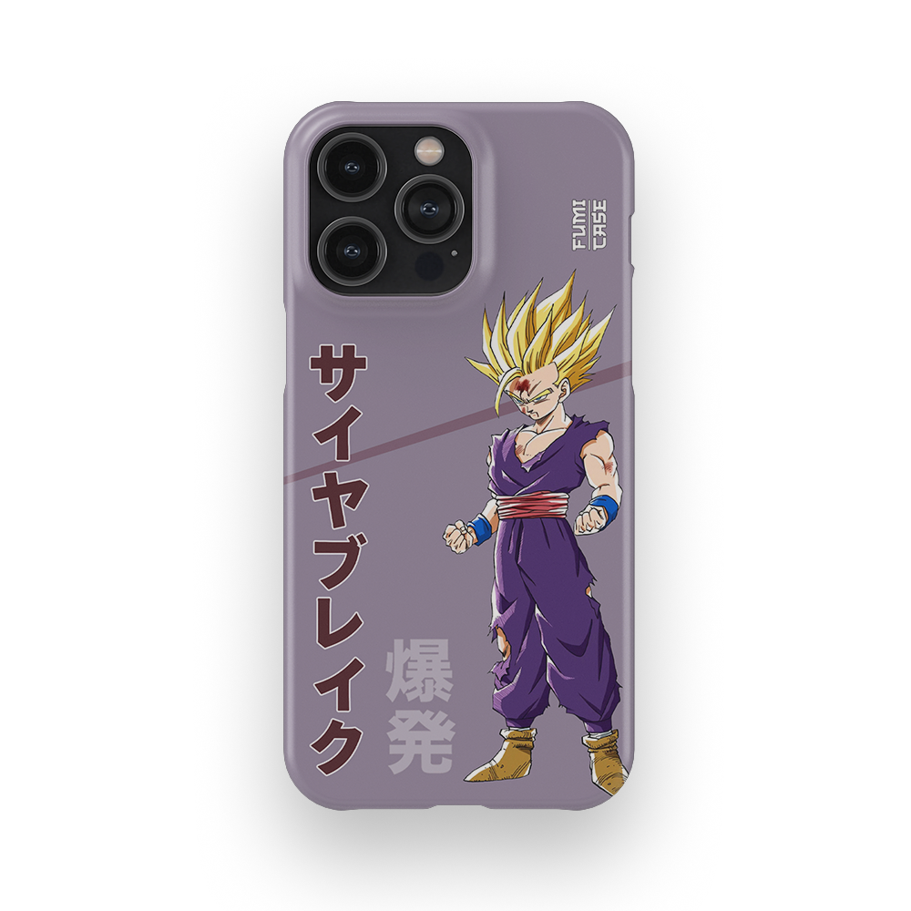 Gohan's Anger-Slim