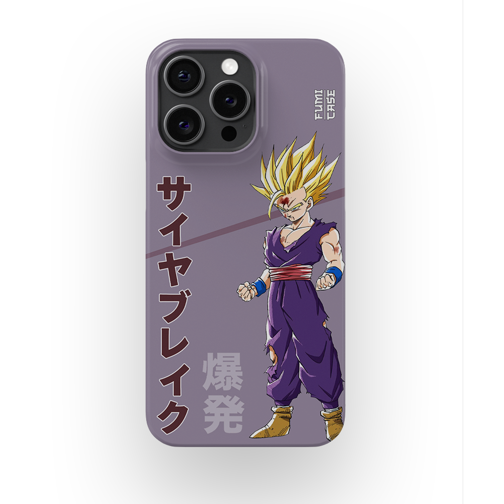 Gohan's Anger-Slim