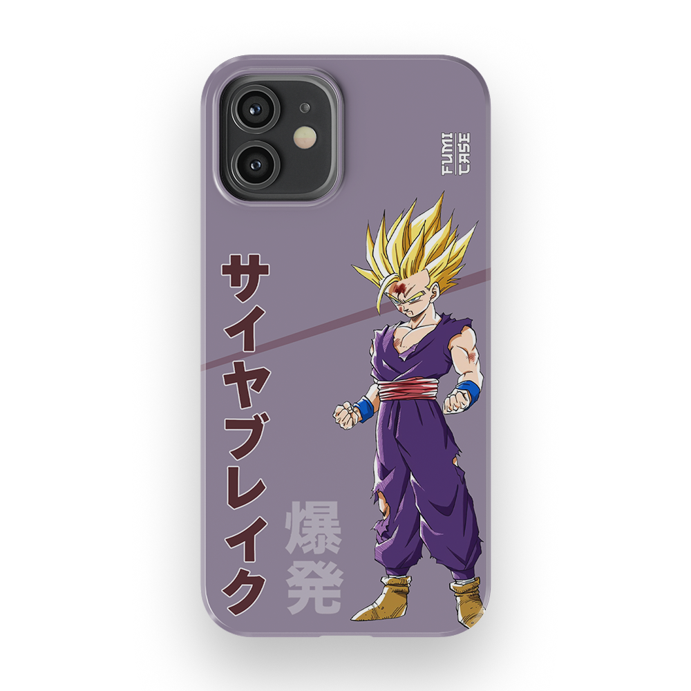 Gohan's Anger-Slim