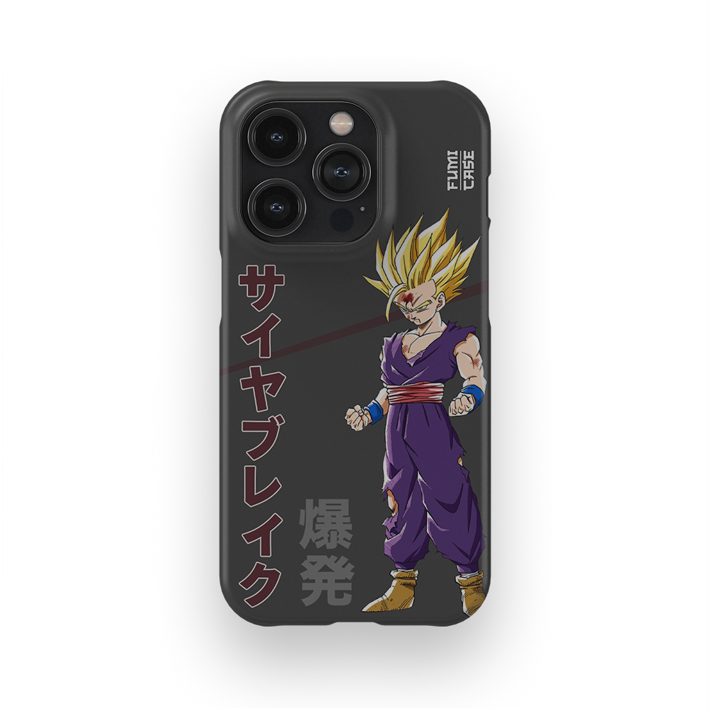 Gohan's Anger-Slim